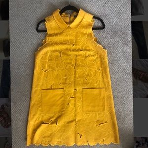 Topshop collared, eyelet dress